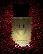 Mr B.